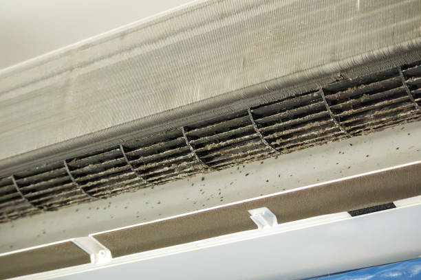 Best Affordable Air Duct Cleaning  in Cutchogue, NY